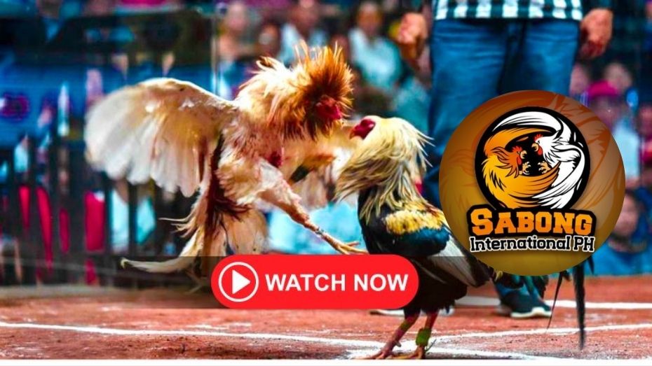 bingo card printable how do i win a 1×2 bet